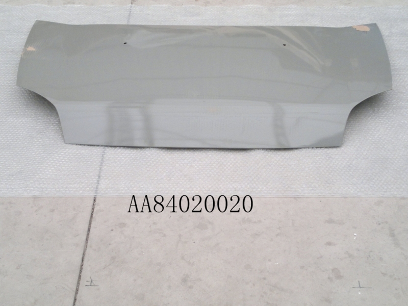картинка КАПОТ SIMBO  AA84020020
