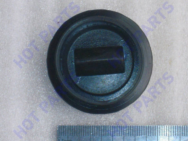 φ38 plug