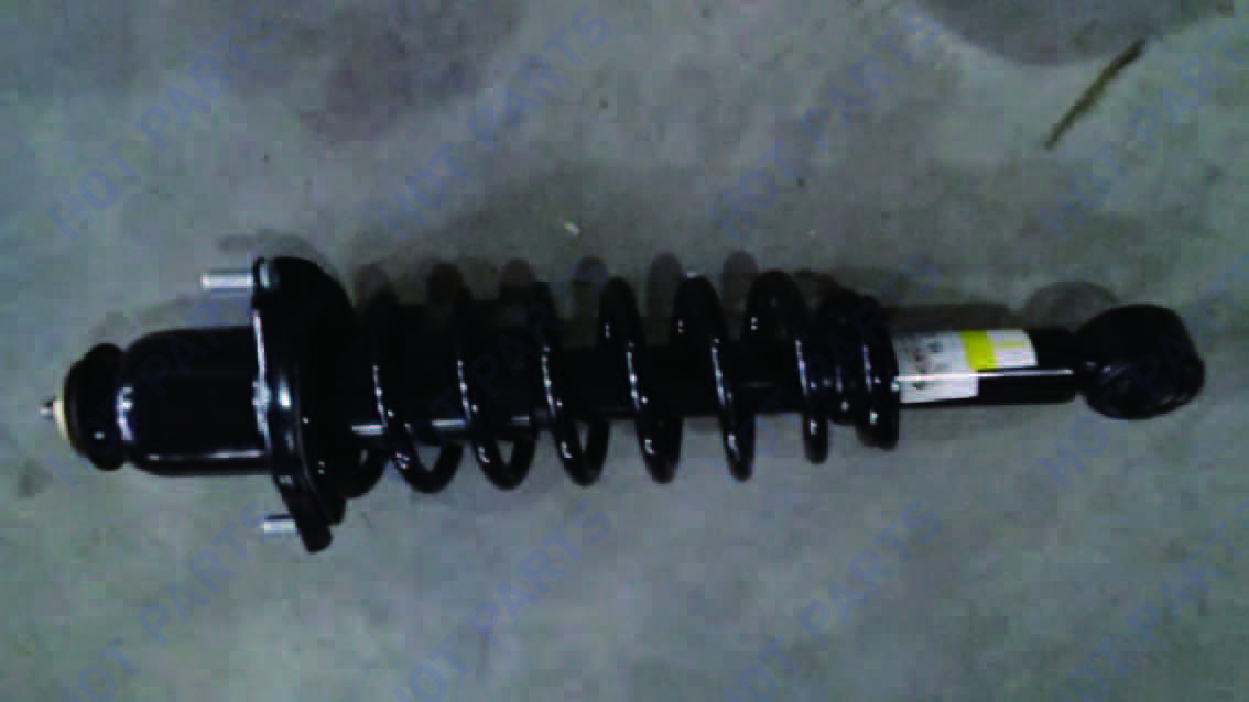 картинка RL shock absorber with spring assy. -- не разобрано 2 BBF2915010