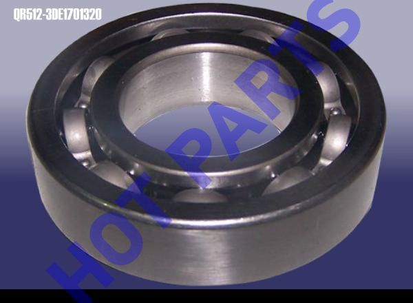 RR OIL SEAL-DIFFERENTIA