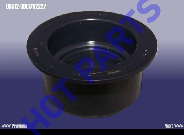 DUST OIL SEAL-GEARSHIFT SHAFT